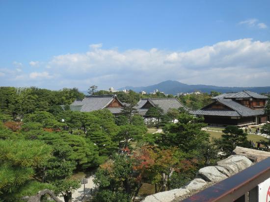 トリップアドバイザー提供