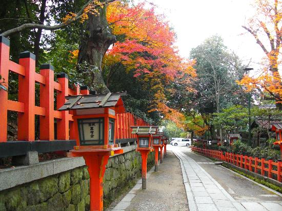 トリップアドバイザー提供