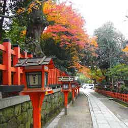 トリップアドバイザー提供