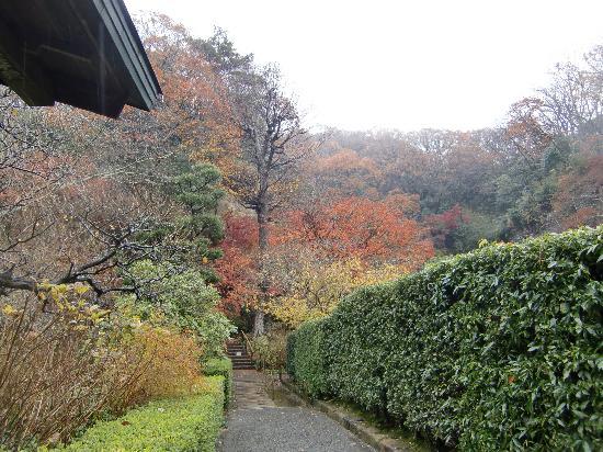 トリップアドバイザー提供