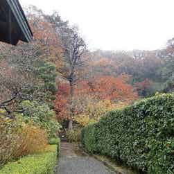 トリップアドバイザー提供