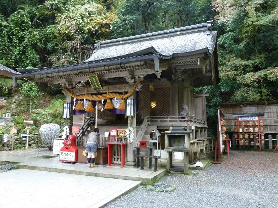 トリップアドバイザー提供