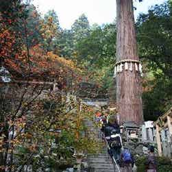 トリップアドバイザー提供