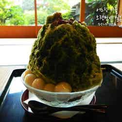 トリップアドバイザー提供