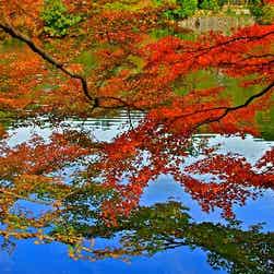 トリップアドバイザー提供