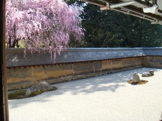 トリップアドバイザー提供