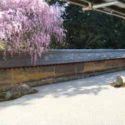 トリップアドバイザー提供