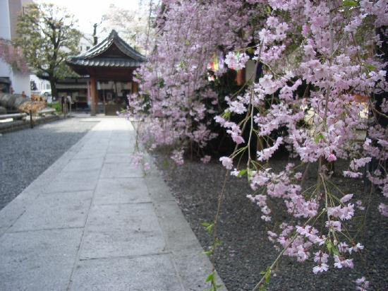 トリップアドバイザー提供