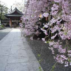 トリップアドバイザー提供