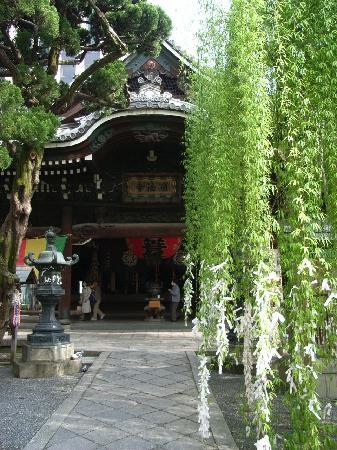 トリップアドバイザー提供