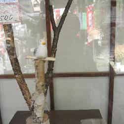 トリップアドバイザー提供