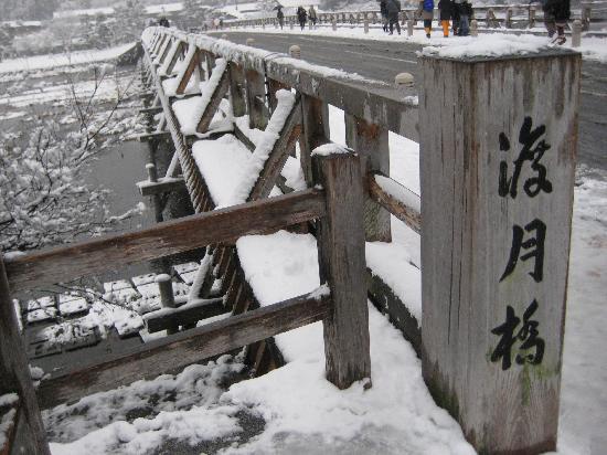 トリップアドバイザー提供