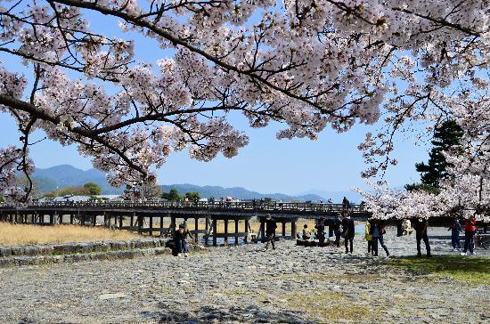 トリップアドバイザー提供