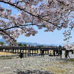 トリップアドバイザー提供