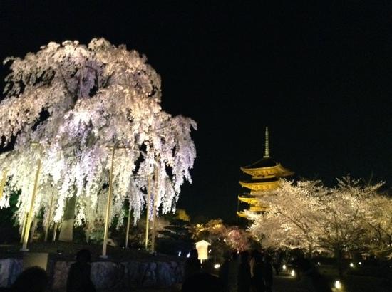 トリップアドバイザー提供