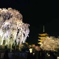 トリップアドバイザー提供