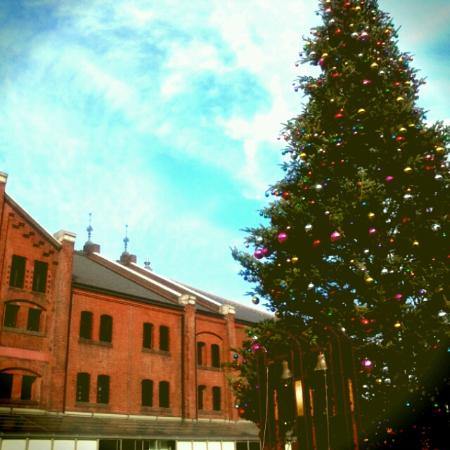 トリップアドバイザー提供