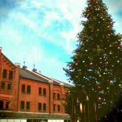 トリップアドバイザー提供