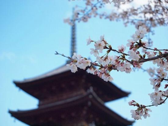 トリップアドバイザー提供