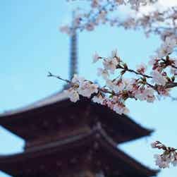 トリップアドバイザー提供