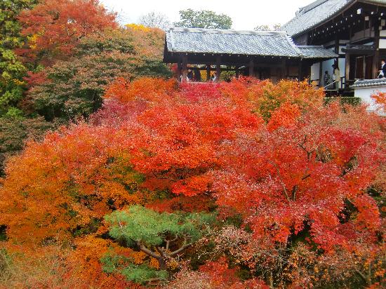 トリップアドバイザー提供