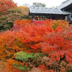 トリップアドバイザー提供