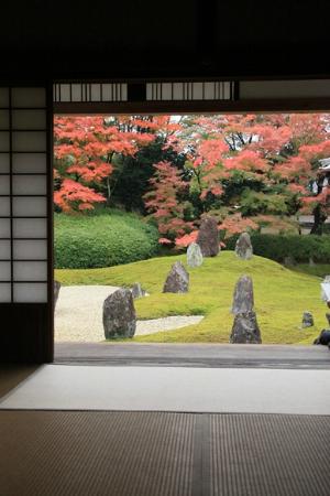 トリップアドバイザー提供