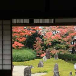 トリップアドバイザー提供