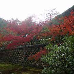 トリップアドバイザー提供