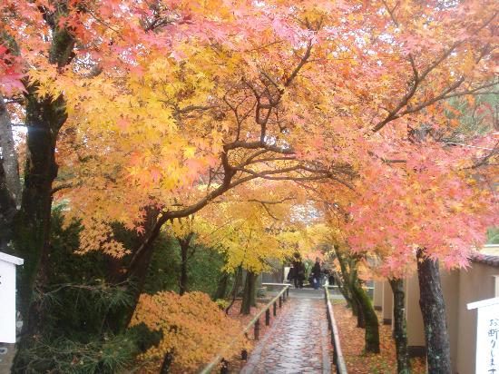 トリップアドバイザー提供