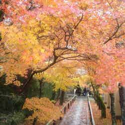 トリップアドバイザー提供