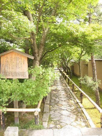 トリップアドバイザー提供