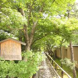 トリップアドバイザー提供