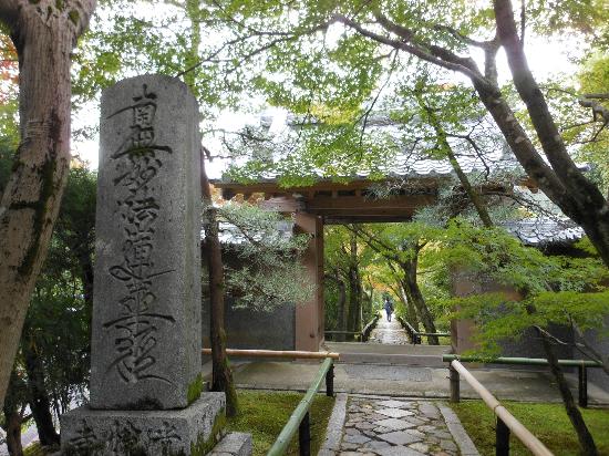 トリップアドバイザー提供