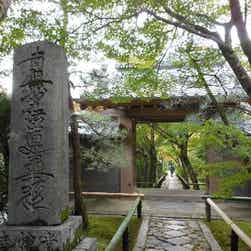 トリップアドバイザー提供