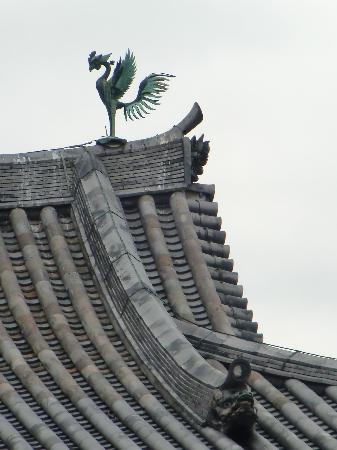 トリップアドバイザー提供