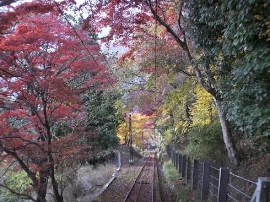 トリップアドバイザー提供