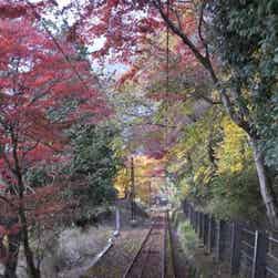 トリップアドバイザー提供