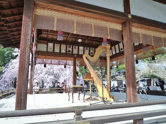 トリップアドバイザー提供