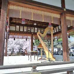 トリップアドバイザー提供