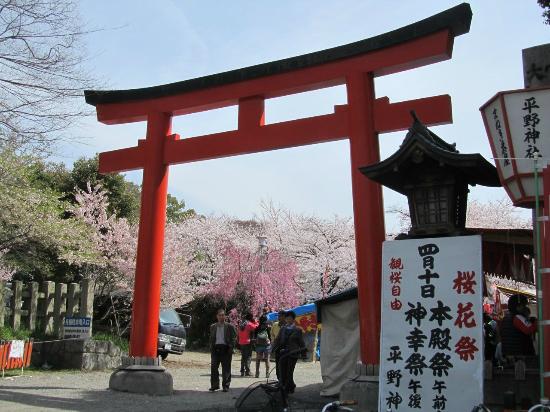 トリップアドバイザー提供