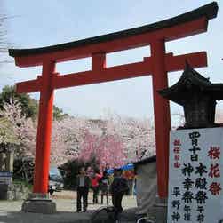 トリップアドバイザー提供