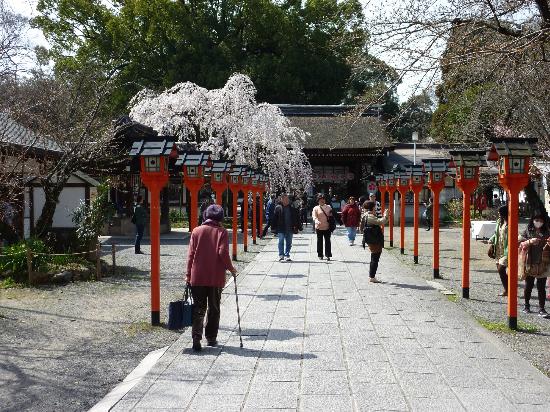 トリップアドバイザー提供