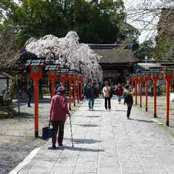 トリップアドバイザー提供