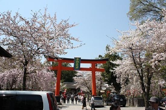 トリップアドバイザー提供