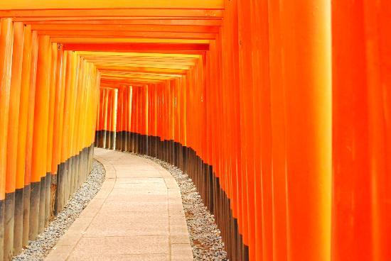 トリップアドバイザー提供