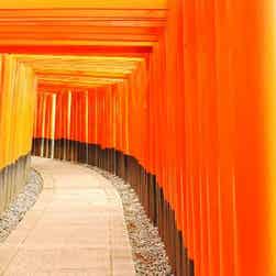 トリップアドバイザー提供