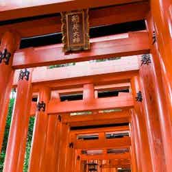 トリップアドバイザー提供