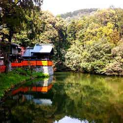 トリップアドバイザー提供