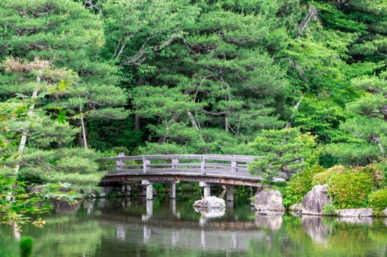 トリップアドバイザー提供